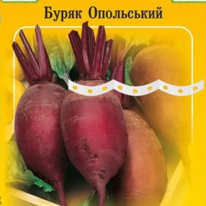 Буряк столовий "Опольський" на стрічці 5 м. (150 насінин)