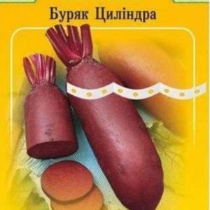 Буряк столовий "Циліндра" на стрічці 5 м. (150 насінин)