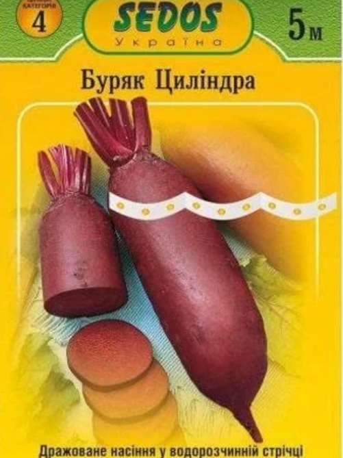 Буряк столовий “Циліндра” на стрічці 5 м. (150 насінин)
