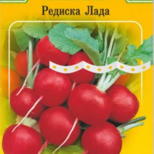 Редиска "Лада" на стрічці 5 м. (150 насінин)